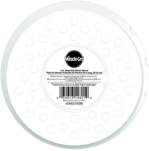 Quality DEEP DISH PLASTIC SAUCER 8 quot Clean