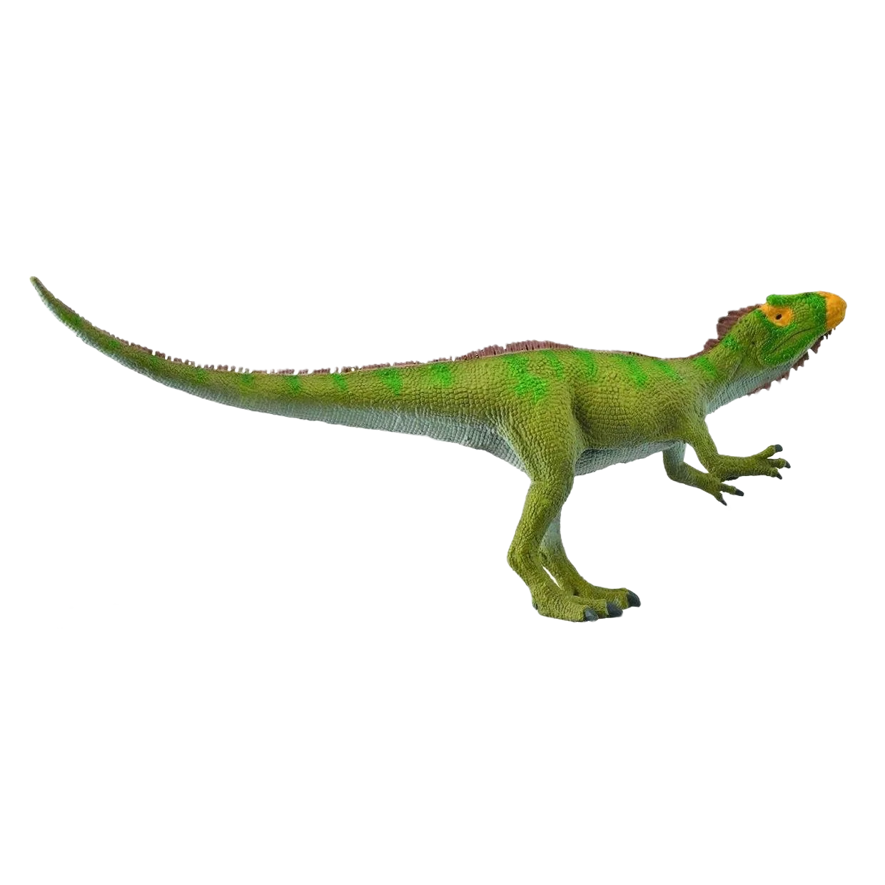 Stylish CollectA Neovenator Scenting Prey Detailed