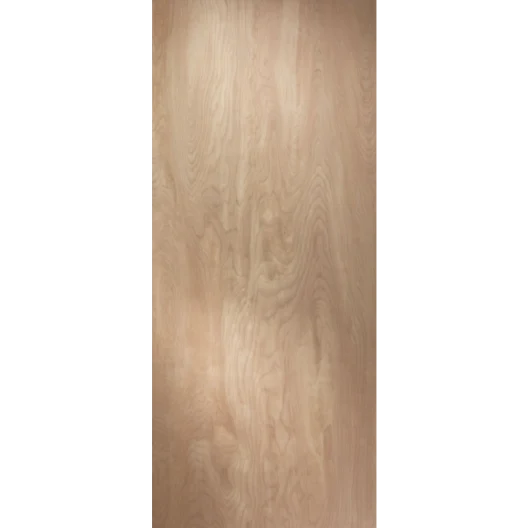 Modern 36 in. x 80 in. Flush Birch Hollow Core Pre-Hung Interior Door LH Carefully Designed