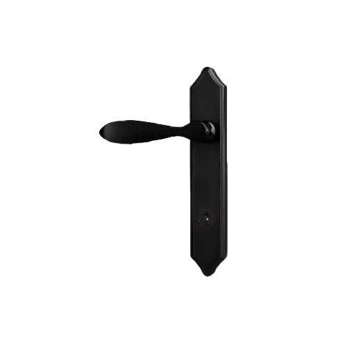 Next-Generation Provia DH245 Windsor Storm Door Lever Coal Black World-Class