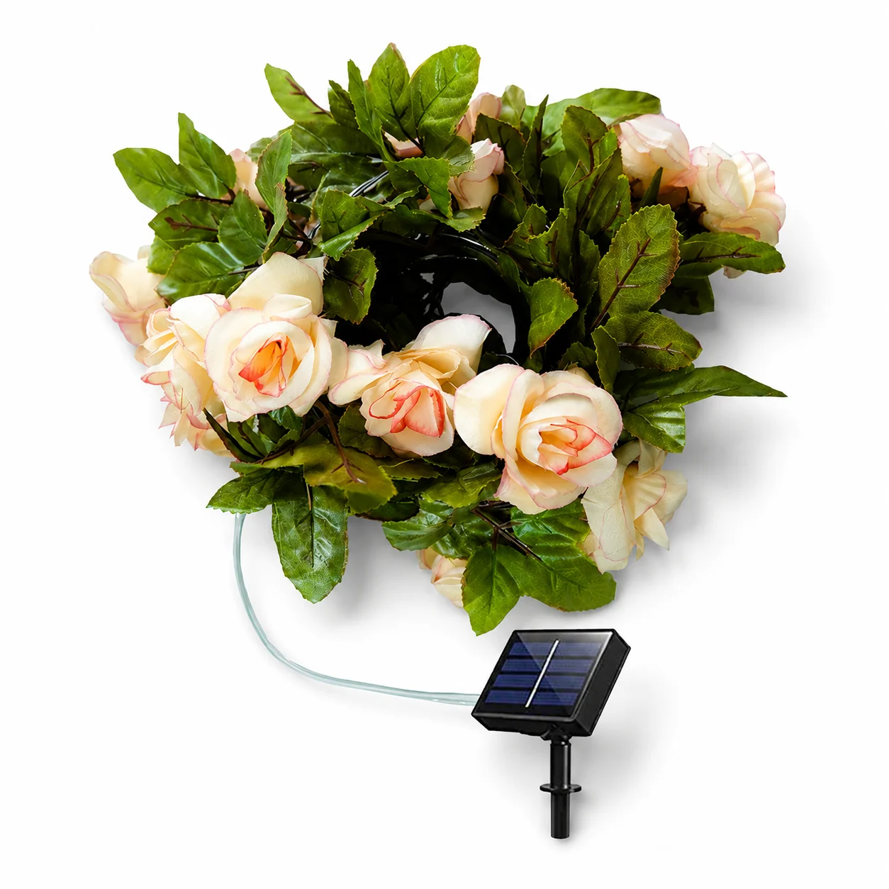 Natural Champagne Rose Blossom String Lights-100 LEDs Solar Battery USB Curtain High-Quality