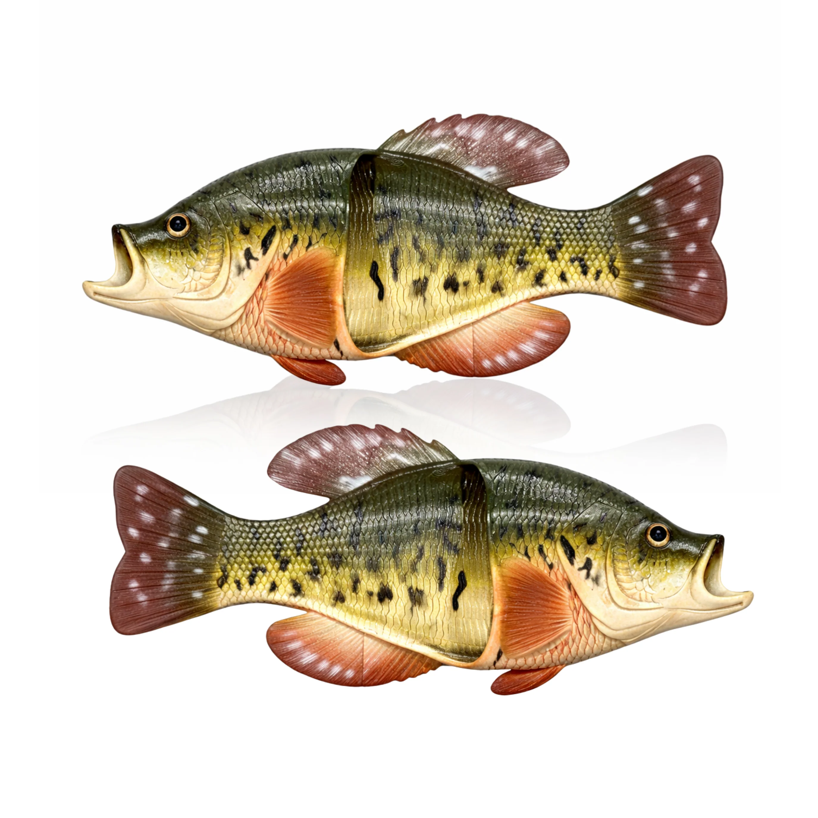 Smooth Fish Sandal Adult Medium-Crappie Relaxed