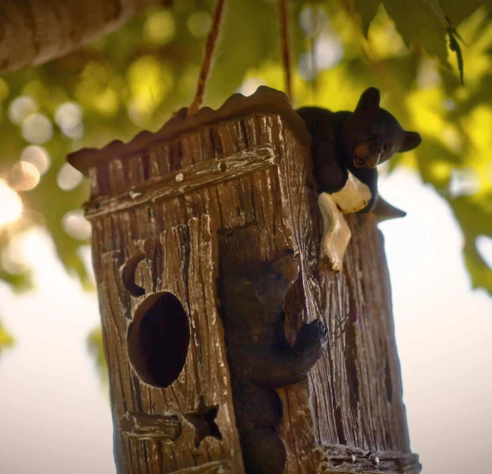 Proven Birdhouse-Bears in Outhouse High-Performance
