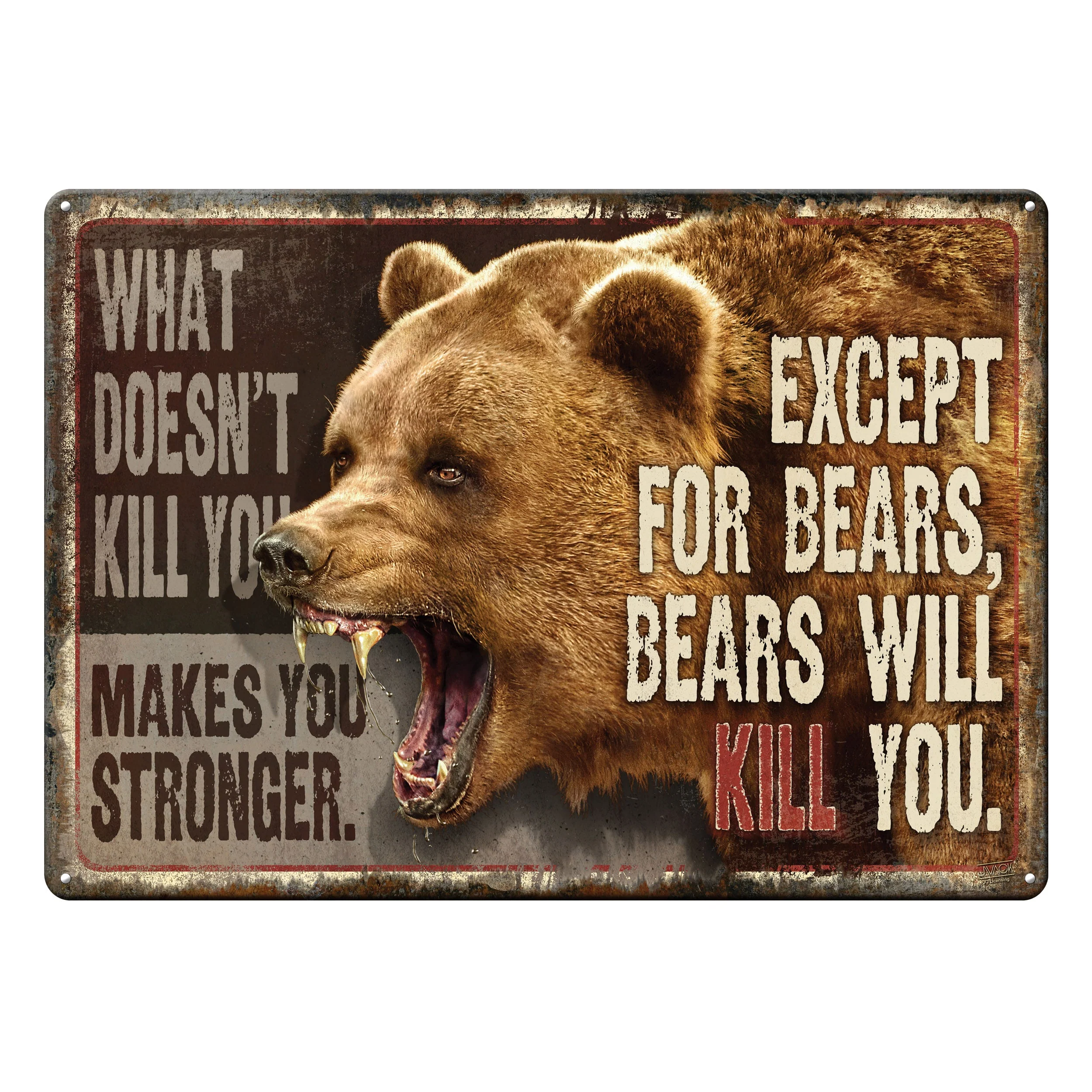 Premium Material Tin Sign 12in x 17in-What Doesnt Kill You Pure