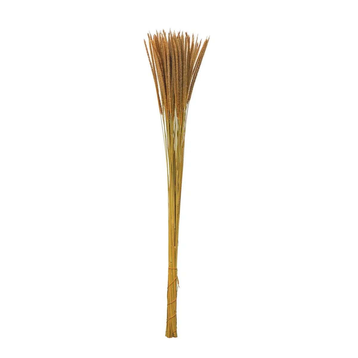 Advanced Dried Natural Goldenrod Bunch Effective