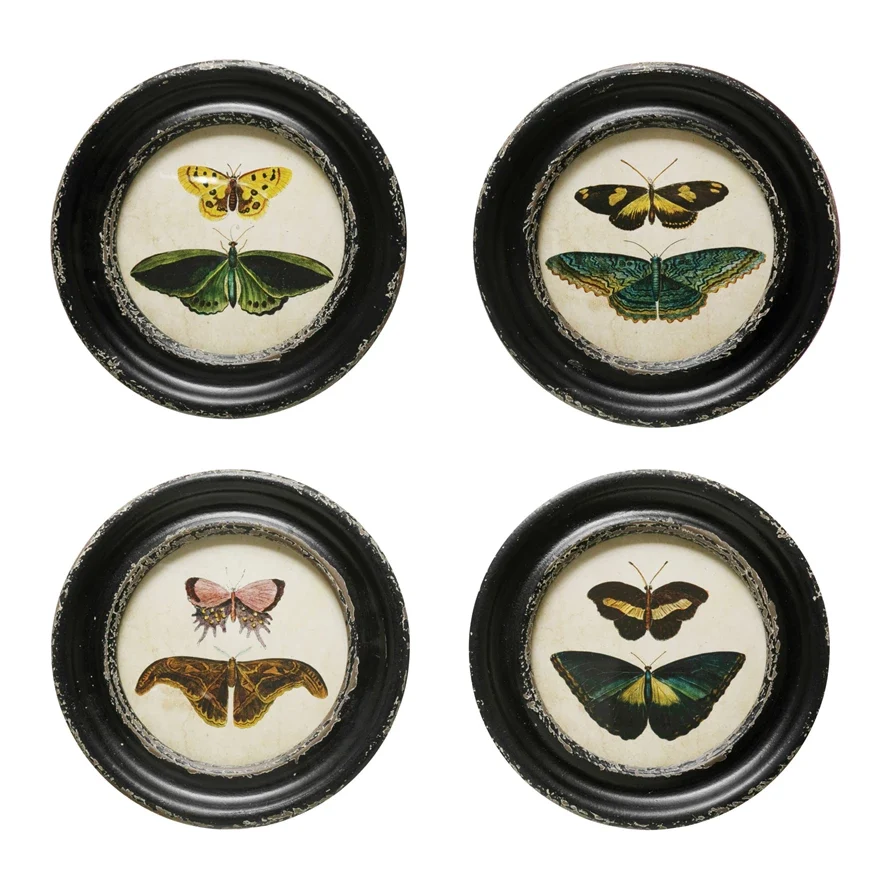 Genuine Framed Moths Butterflies Wall Decor Comfortable