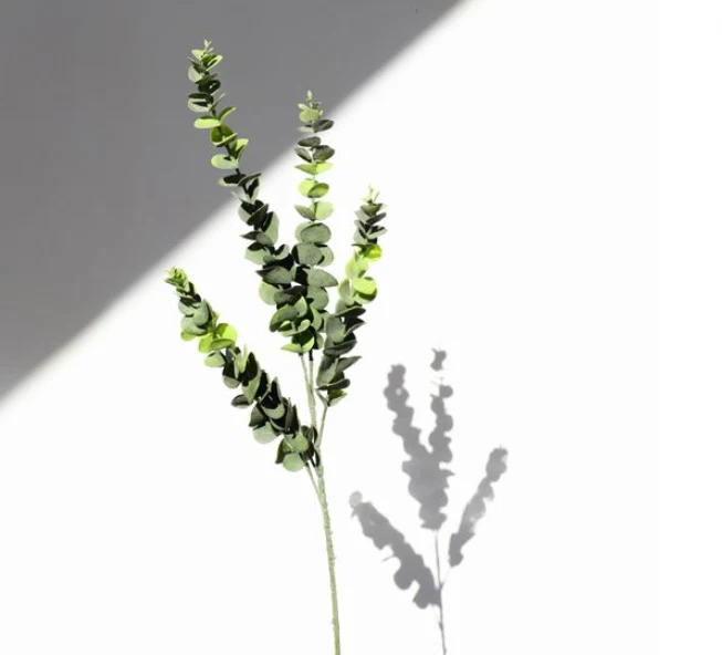 High-End Eucalyptus Spray Natural