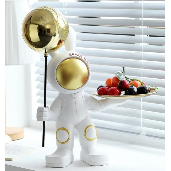 Convenient Astronaut Storage Tray Proven