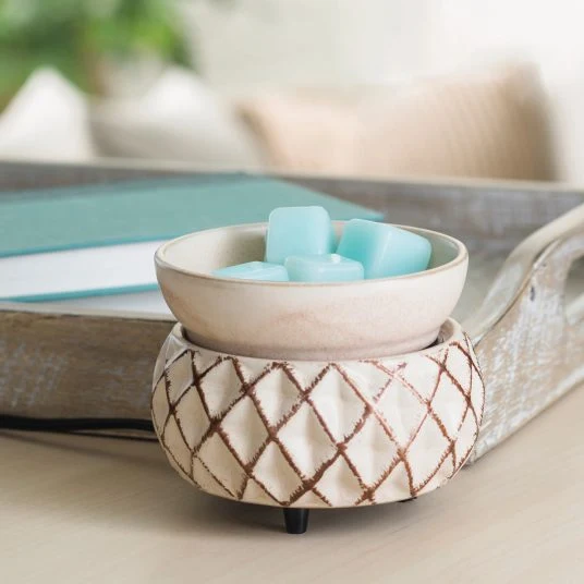 Sustainable Trellis 2-In-1 Classic Fragrance Warmer Environmentally Friendly