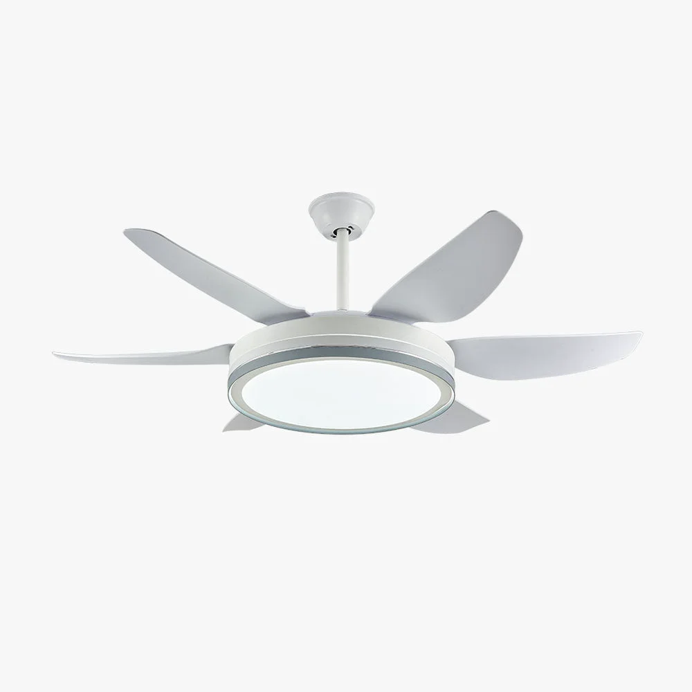Verified Haydn 6-Blatt-Deckenventilator mit Beleuchtung Grundlegend 2 Farben ∅130CM Selected
