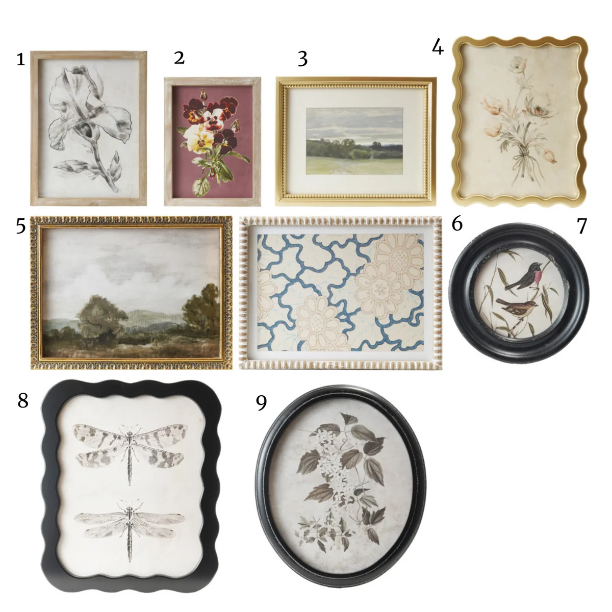 High-Grade Wood Framed Glass Wall Decor w Landscapes Botanicals Insect Prints Easy-to-Use