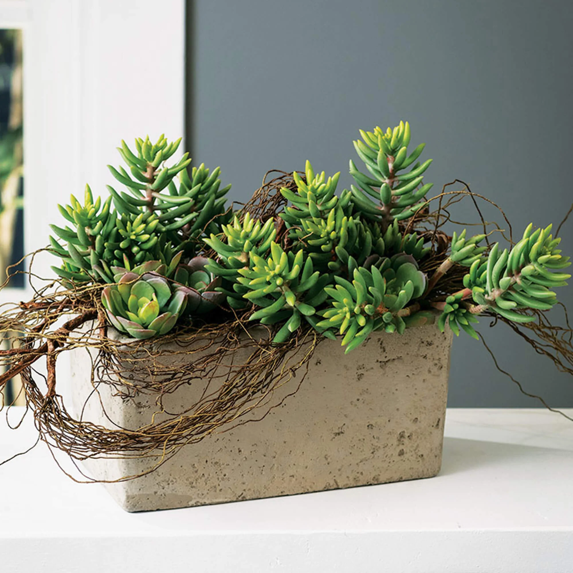 Smart Cement Planter Advanced