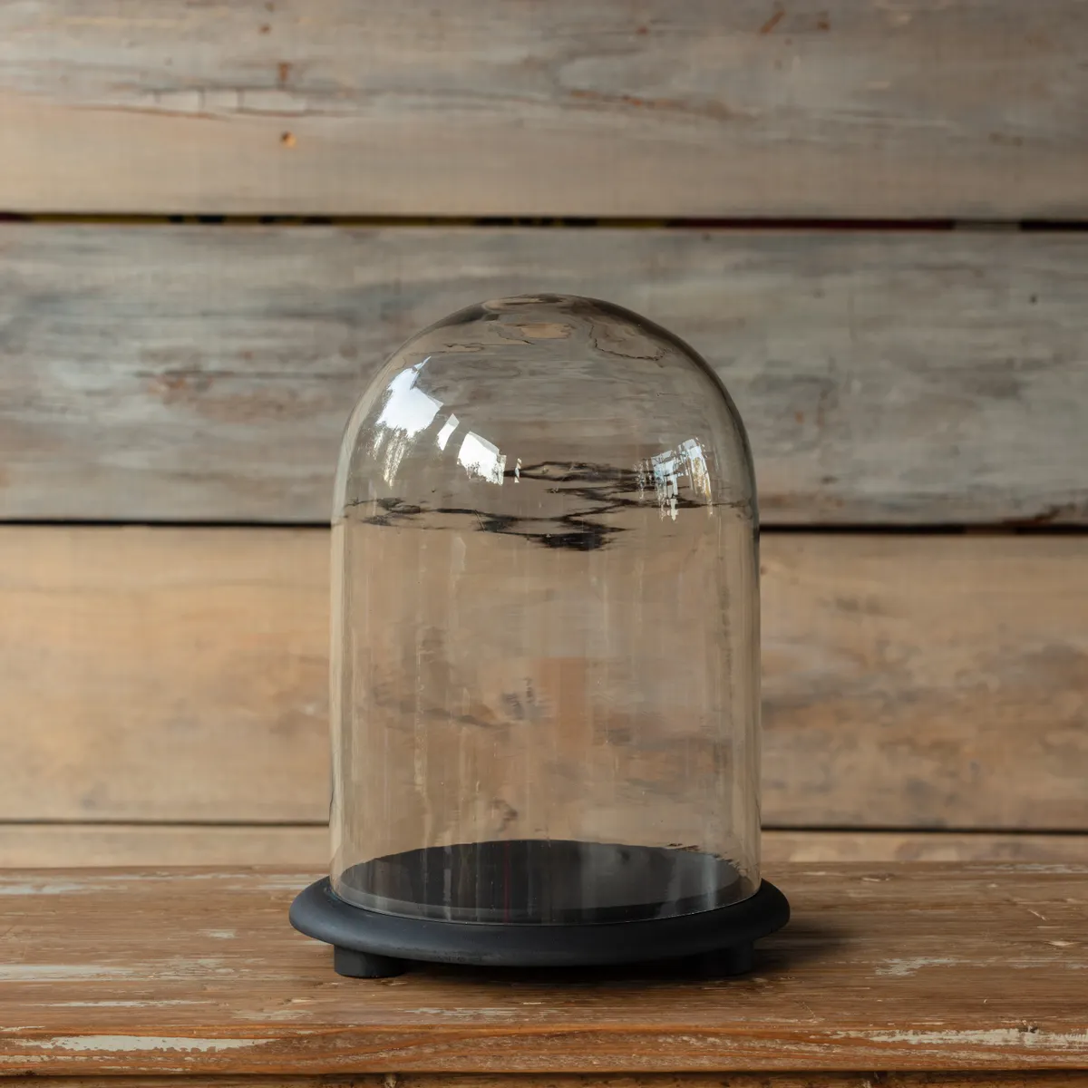 Verified Vintage Style Glass Display Dome w Medium Base Recyclable