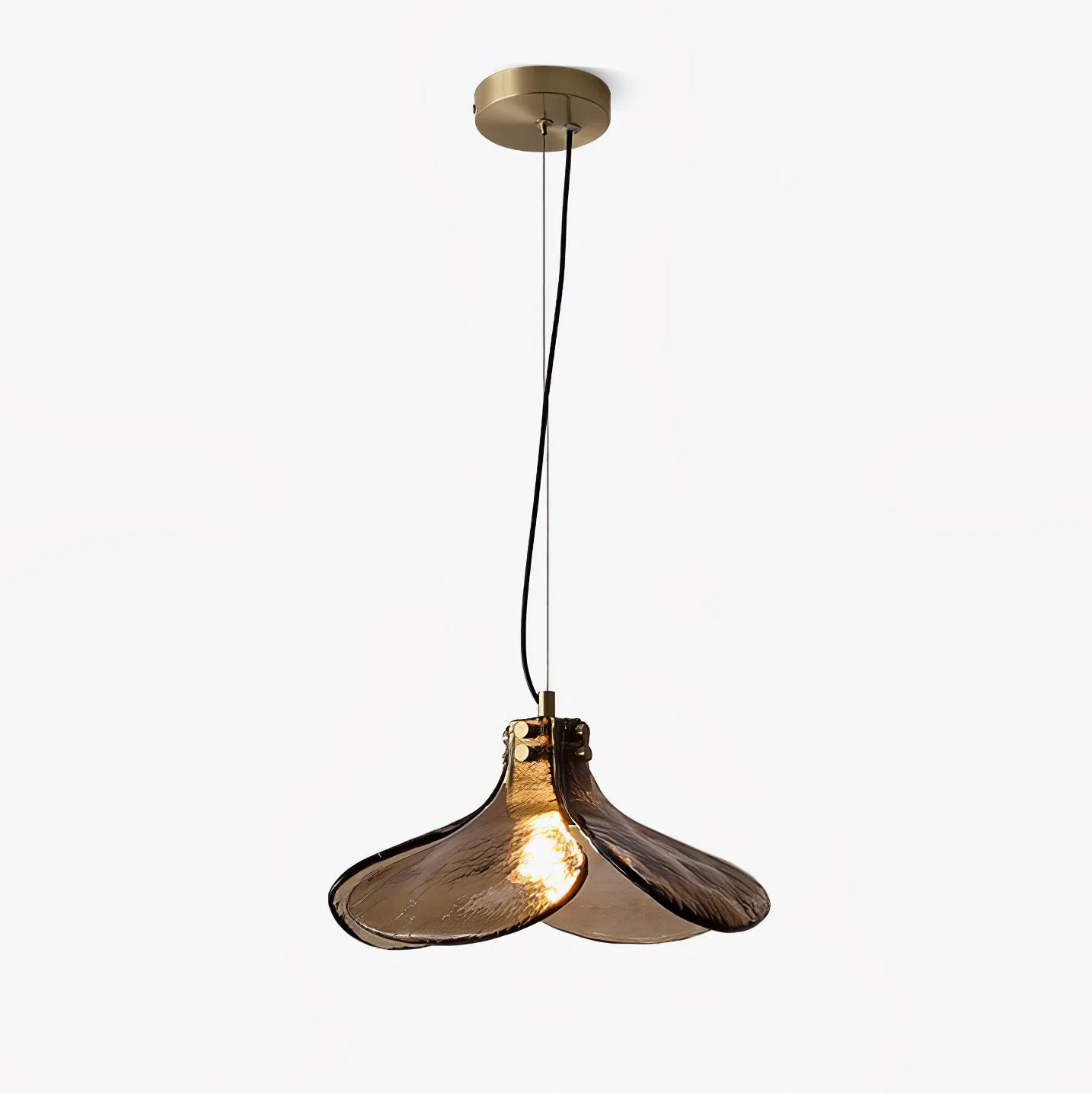 Fashionable LS185 Pendant Lamp Premium Material