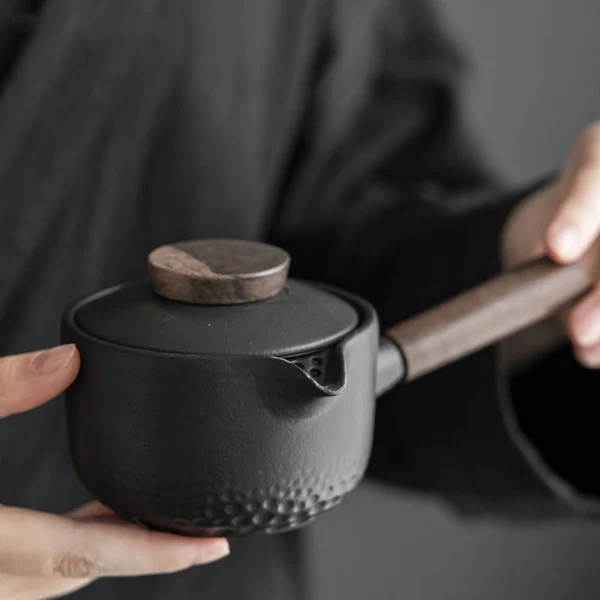Flexible Gong Fu Tea Pot with Side Handle High-Grade