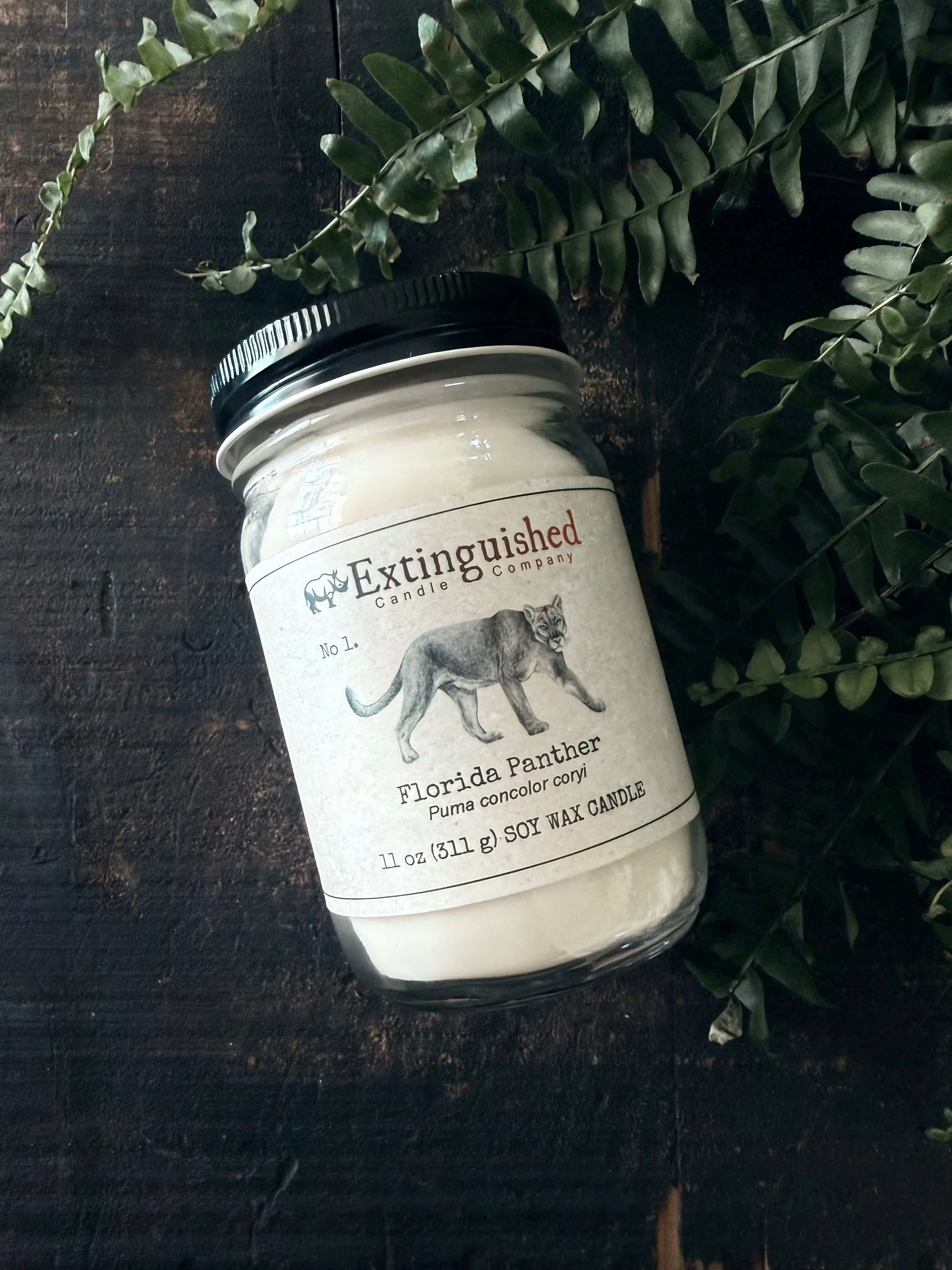 User-Friendly Extinguished Candle Co. No 1. Florida Panther Eco-Friendly