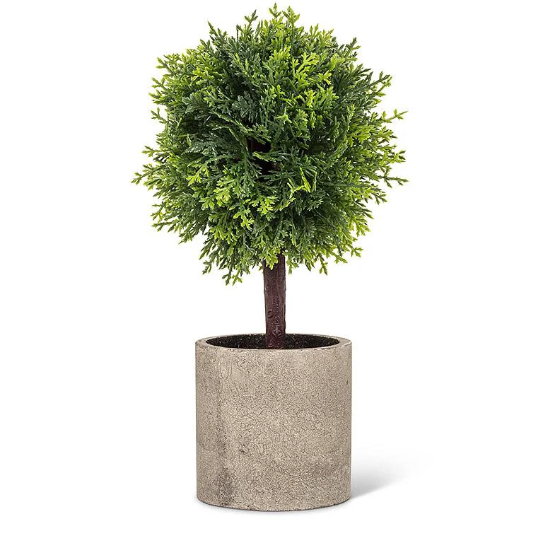High-Grade Conifer Topiary in Pot 9.5 Versatile