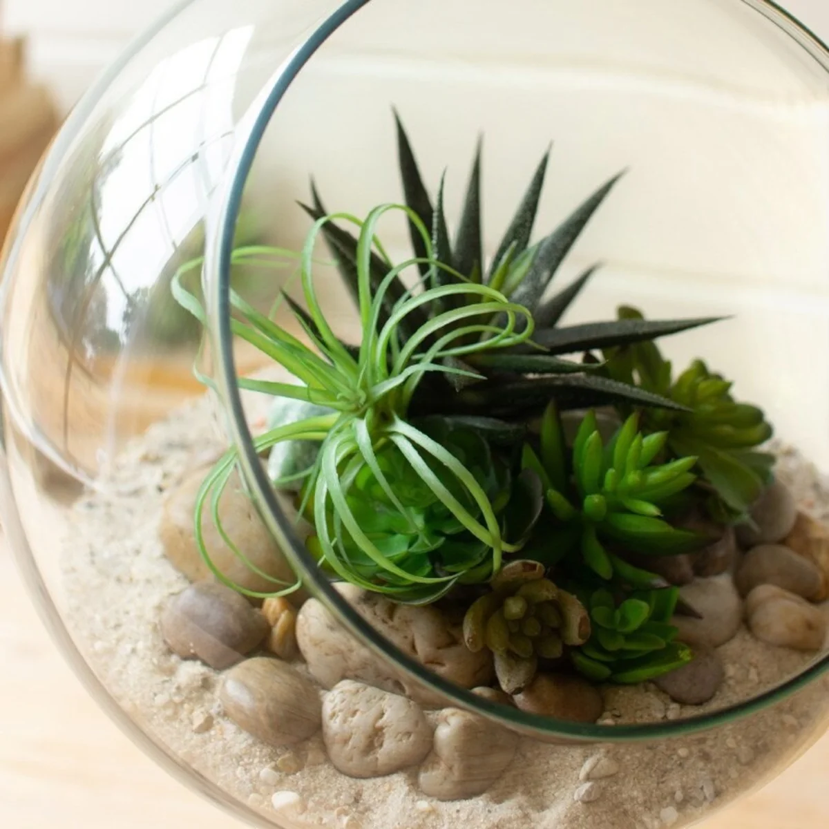 Crafted Round Glass Disply Terrarium Environmentally Friendly