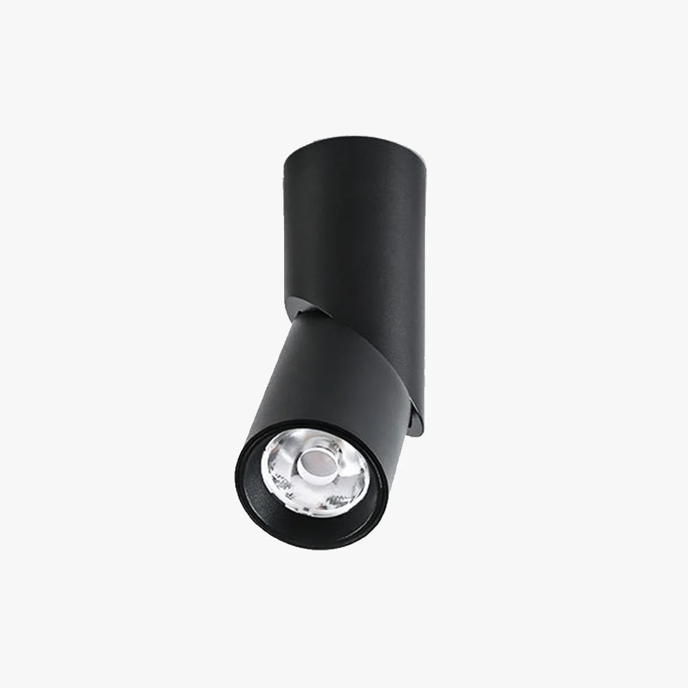 Certified Vovak LED Rotating Flush Mount Spotlight Black White Elegant