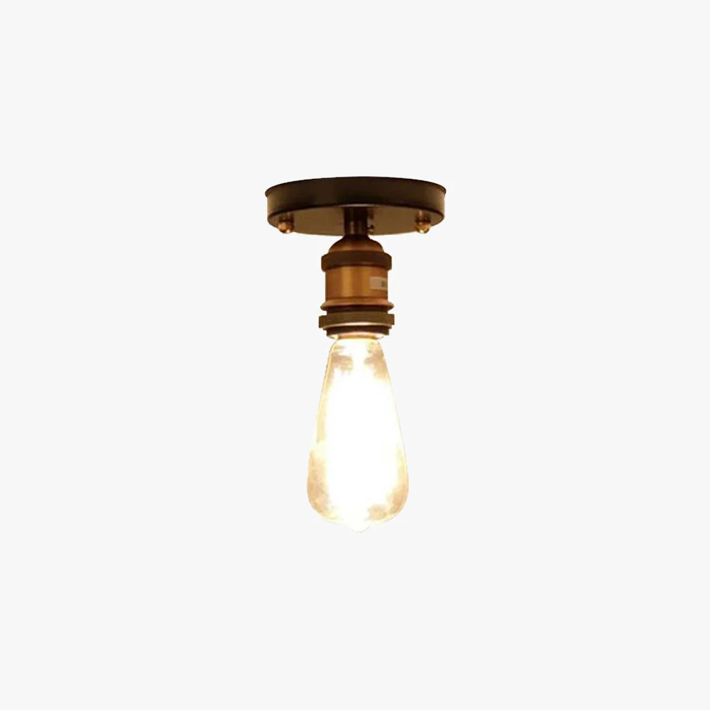 Professional Alessio Retro Industrial Flush Mount Ceiling Light Metal User-Friendly