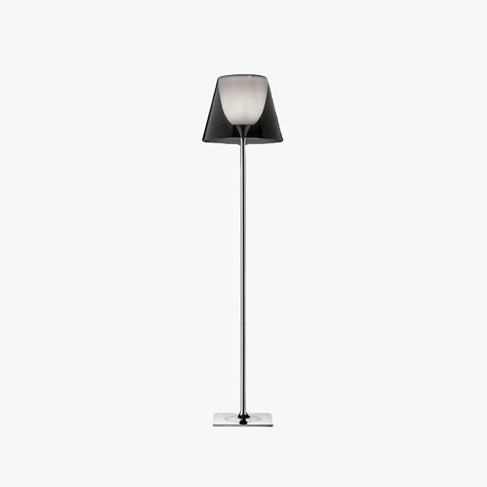 Detailed Eryn Dome Modern Metal Floor Lamp Versatile