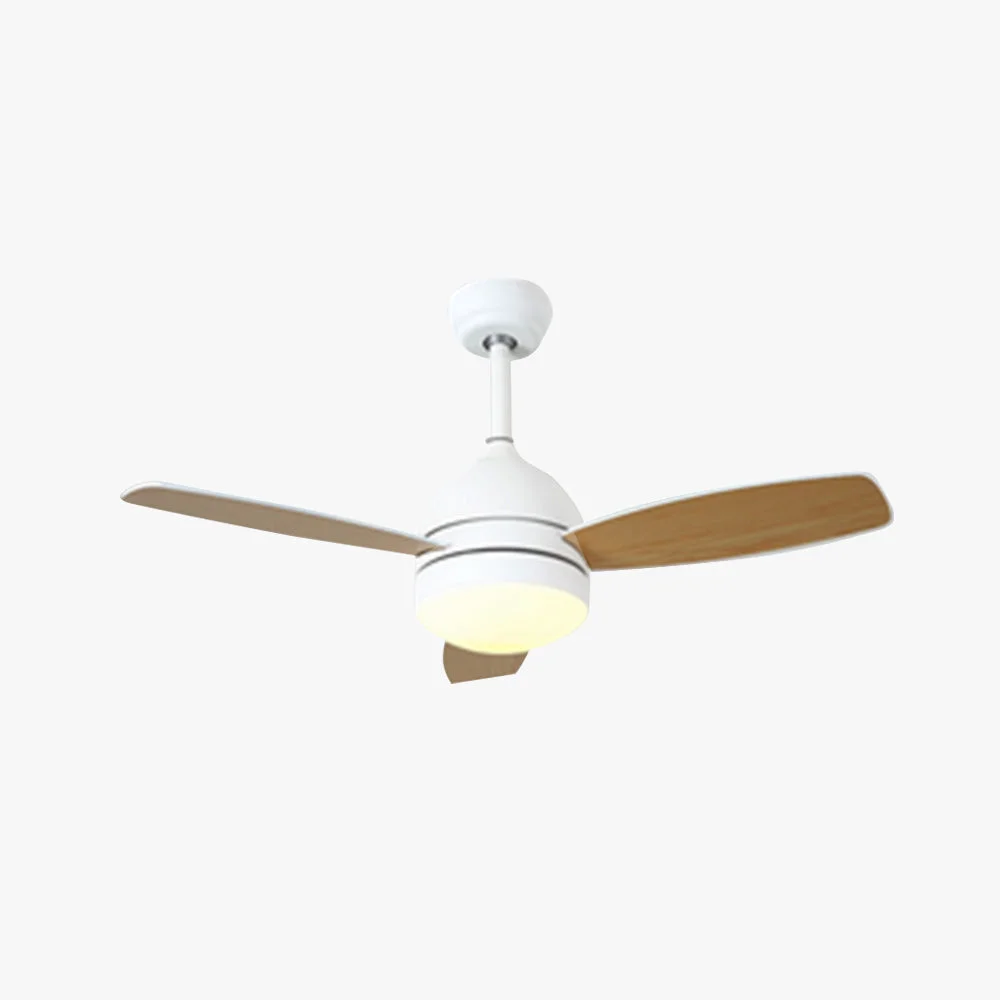 Sophisticated Haydn 3-Blade DC Modern Ceiling Fan with Light Summer 41'' Stylish