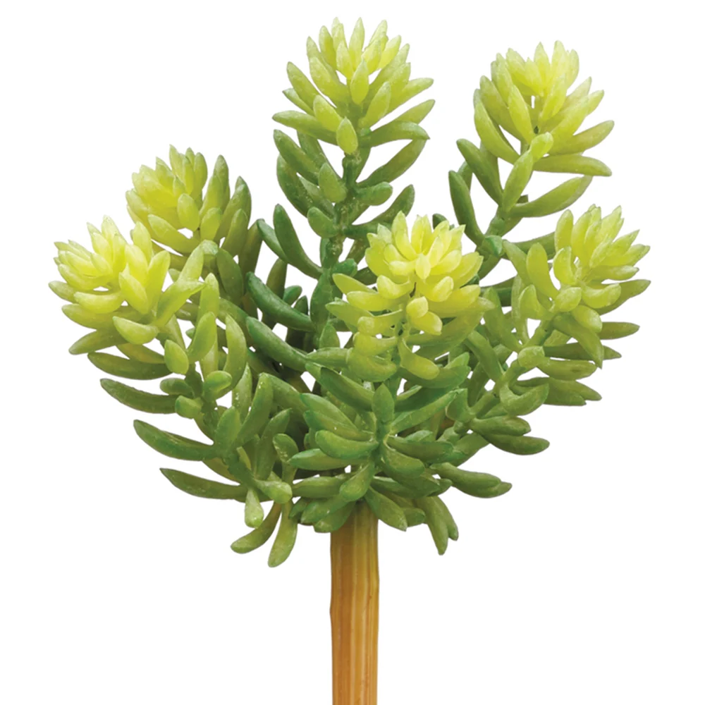 Eco-Friendly Sedum Pick 7in Comfortable