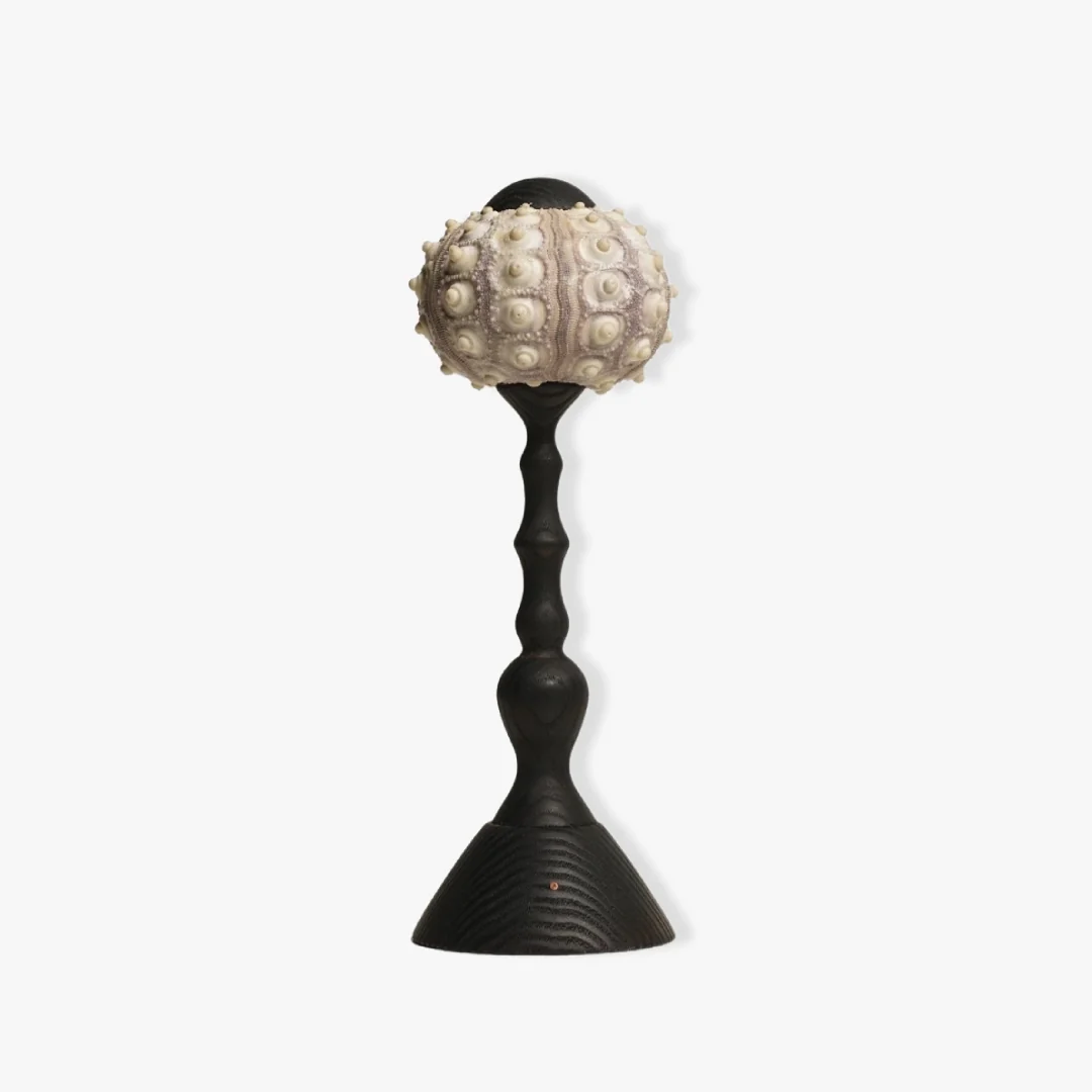 Artisan Sea Urchin Table Lamp Versatile