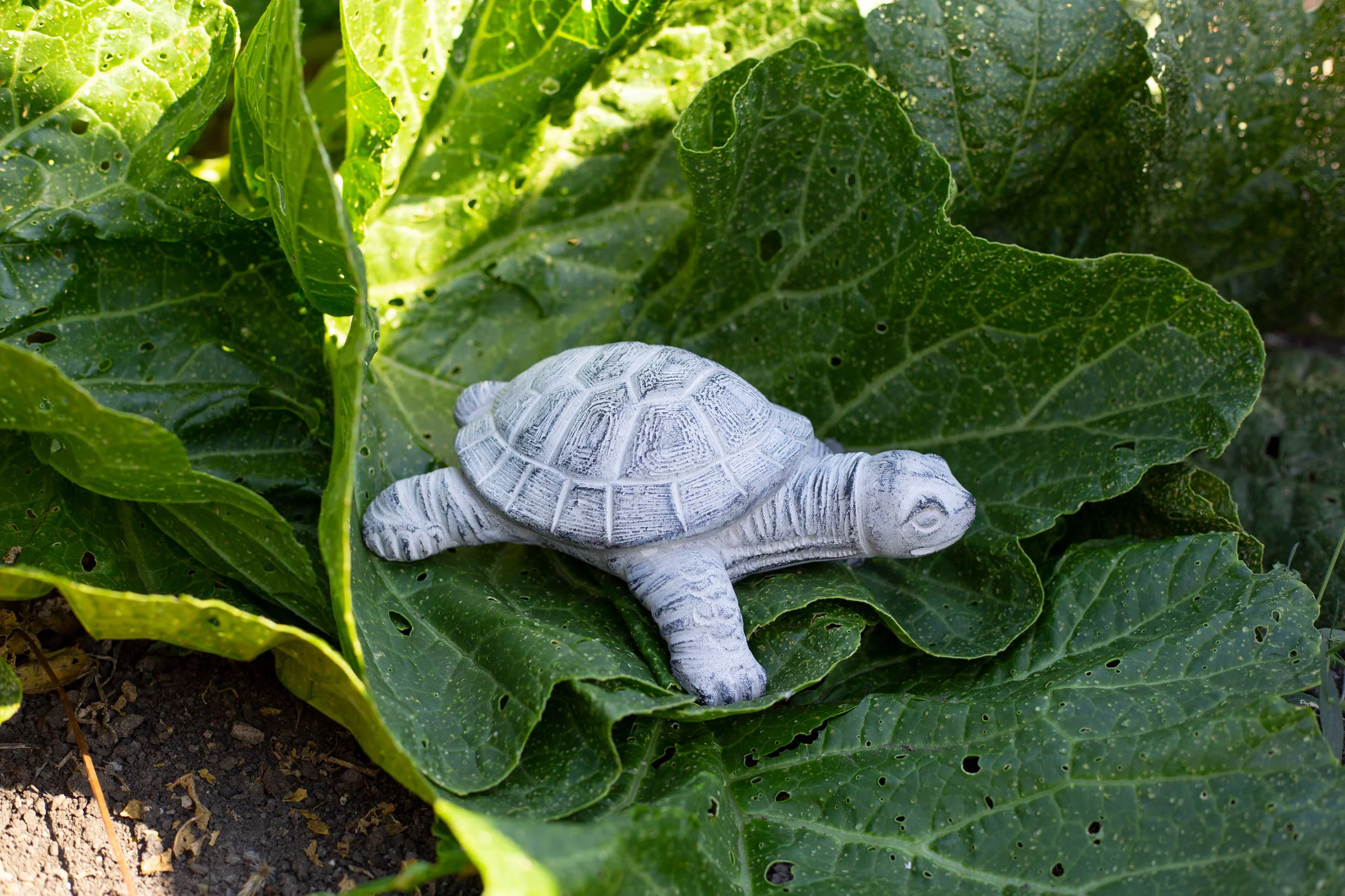 Excellent Garden Turtle Trendy