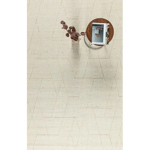 Versatile Kinsey Hand Woven Rug Champagne Solid