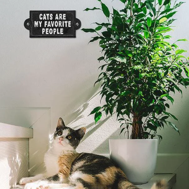 Carefully Designed Cats are my Favorite... Sign 6 Stylish