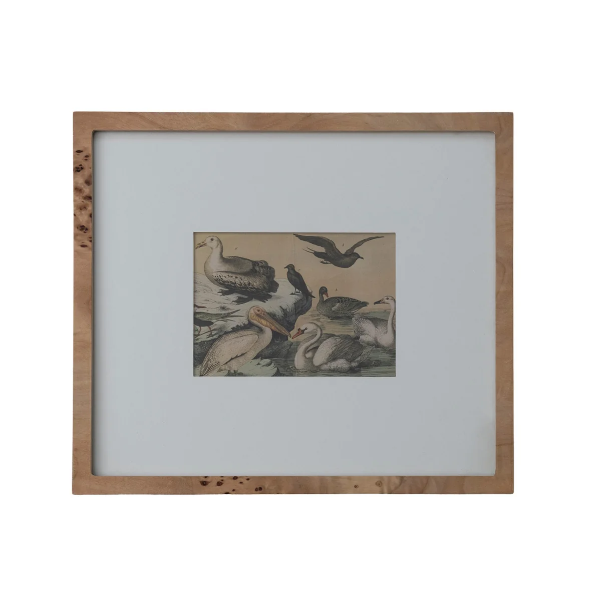Durable Wall Photo 5 x 7 Frame with White Mat Natural Advanced