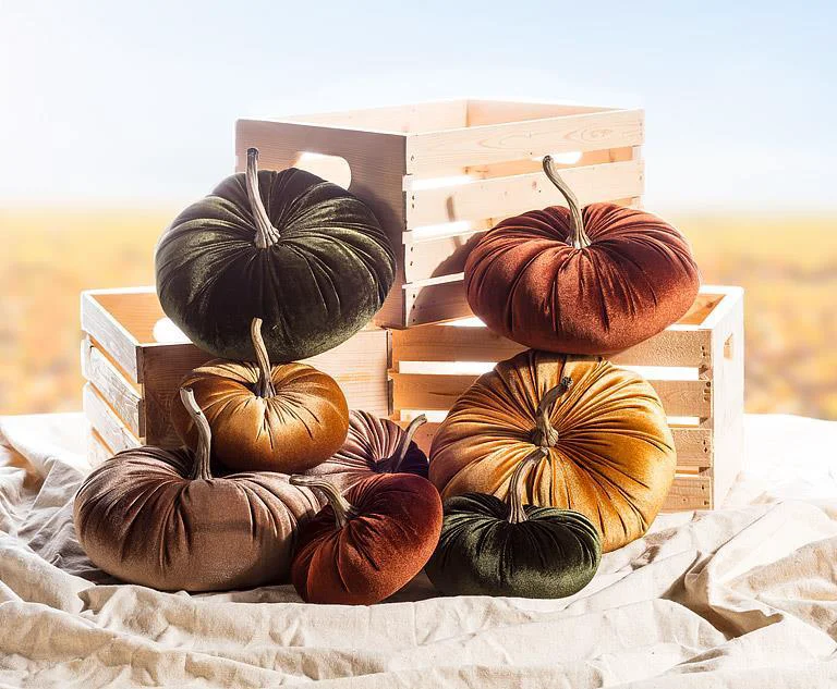 Proven Velour Velvet Pumpkins Practical