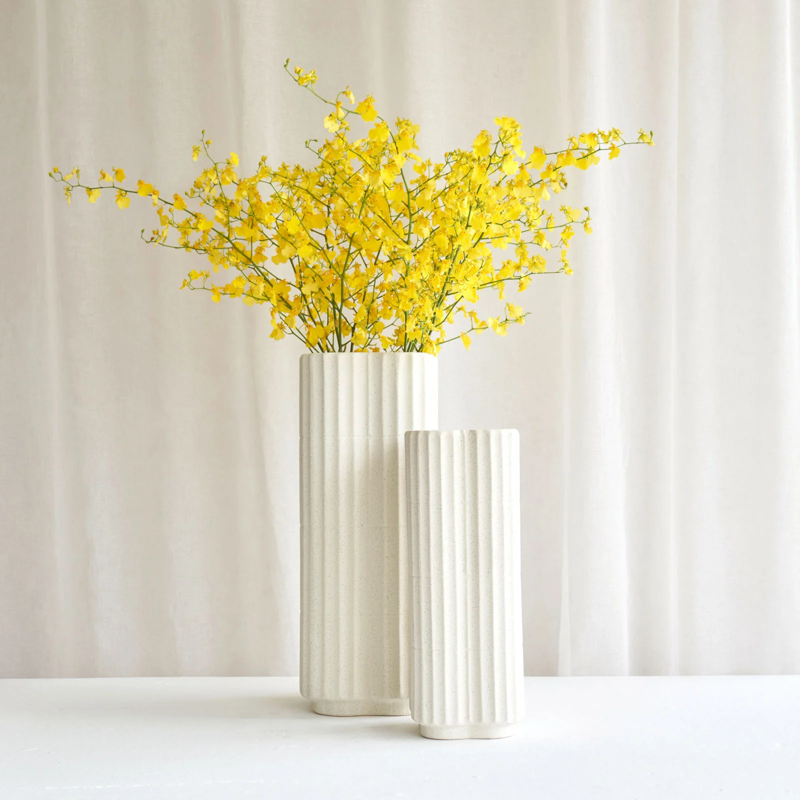 Fine Castor Vase Ecru Outstanding