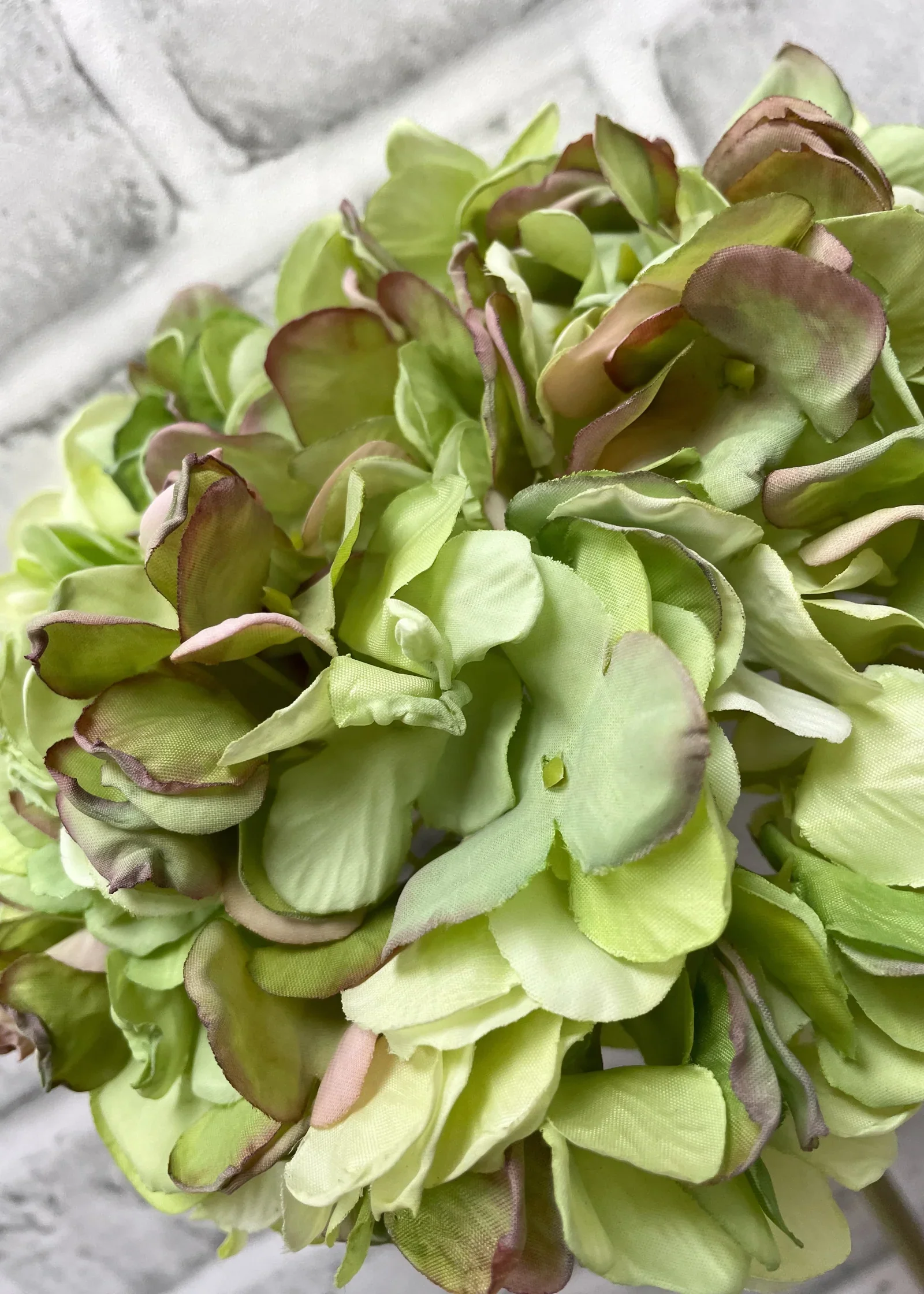 Powerful Dried Look Hydrangea High-Quality