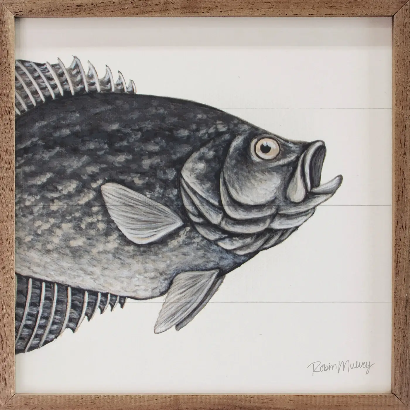 First-Class Crappie By Robin Sue Studio Reliable