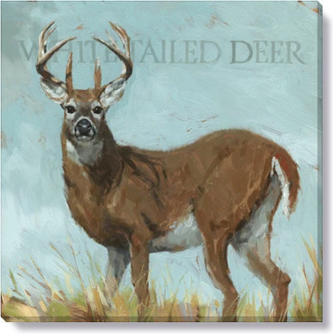 Traditional White-Tailed Deer Giclee Wall Art High-End