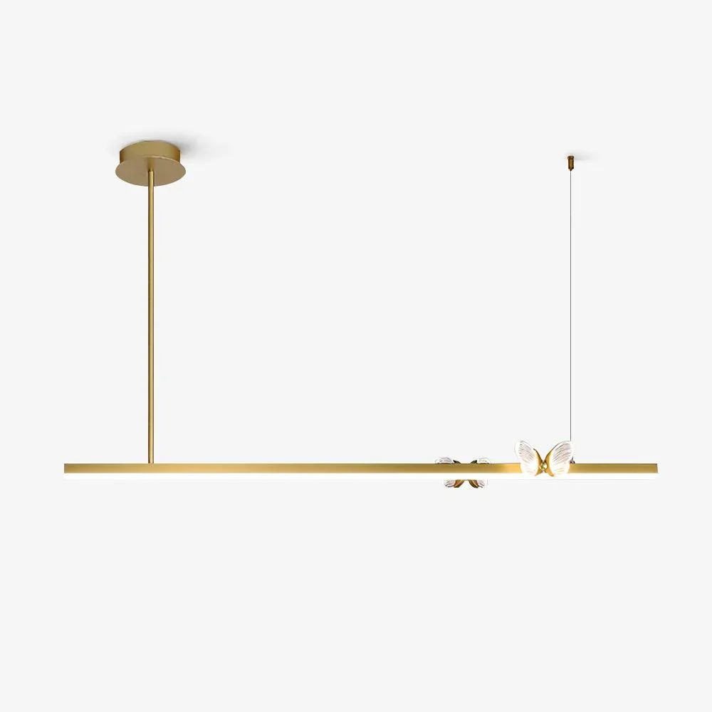 Efficient Butterfly Linear Chandelier First-Class