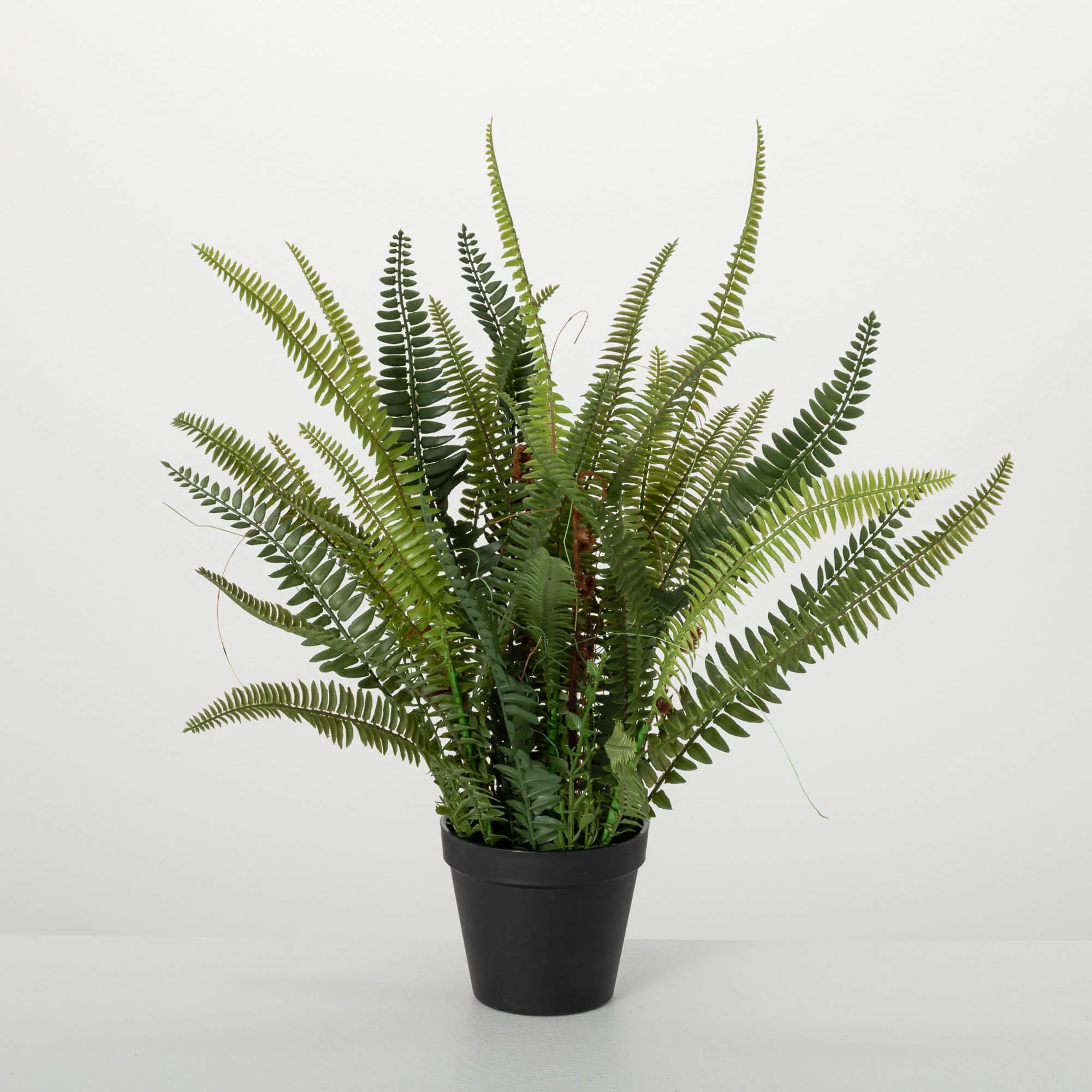 Trendy 21 Lush Potted Fern Artisan