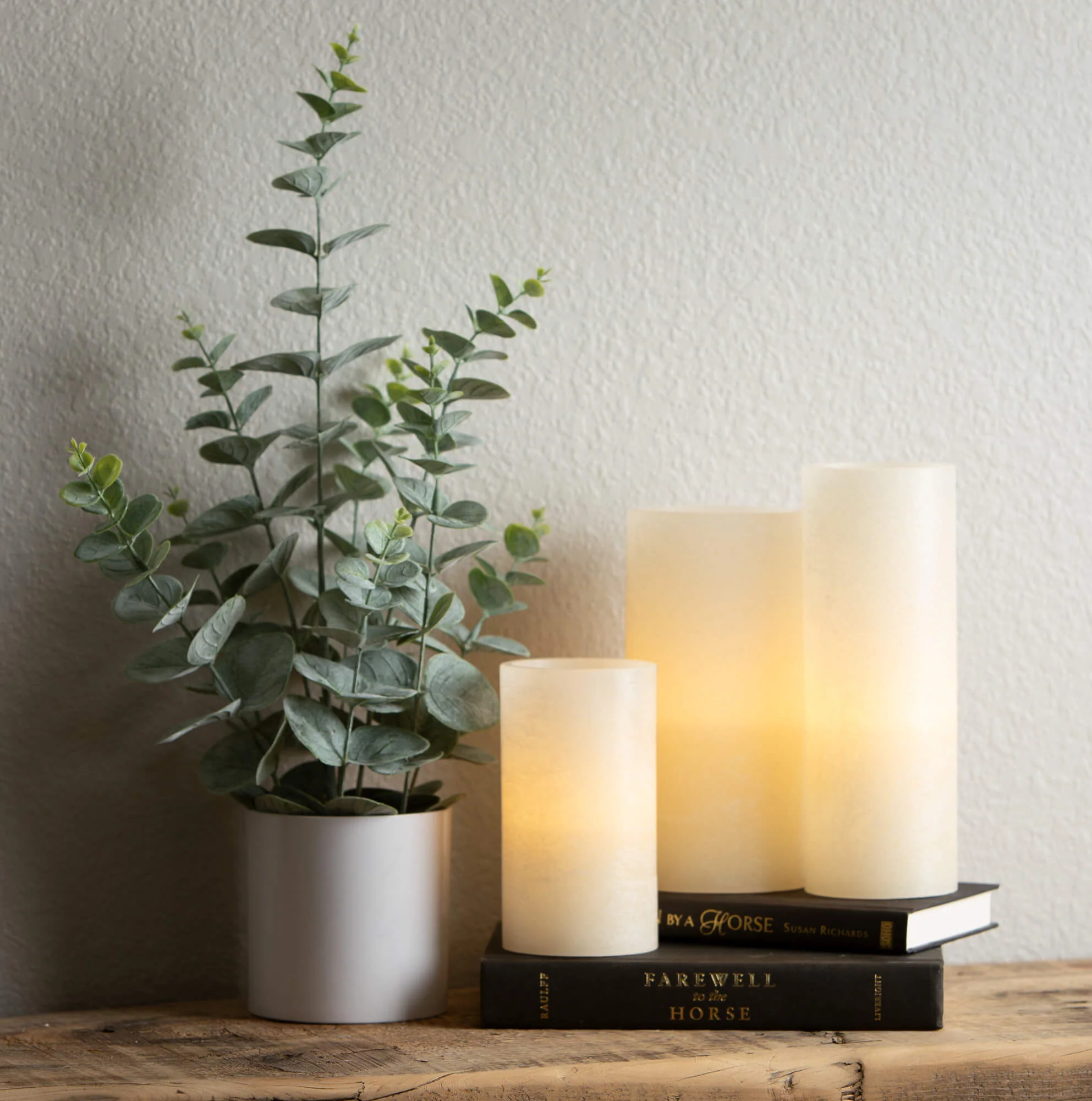 Recyclable 20.5 Eucalyptus with White Pot High-Grade