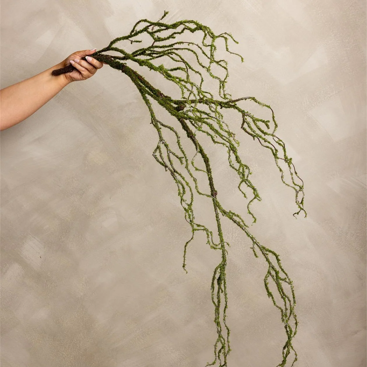 Superior Mossy Drop Branch Excellent