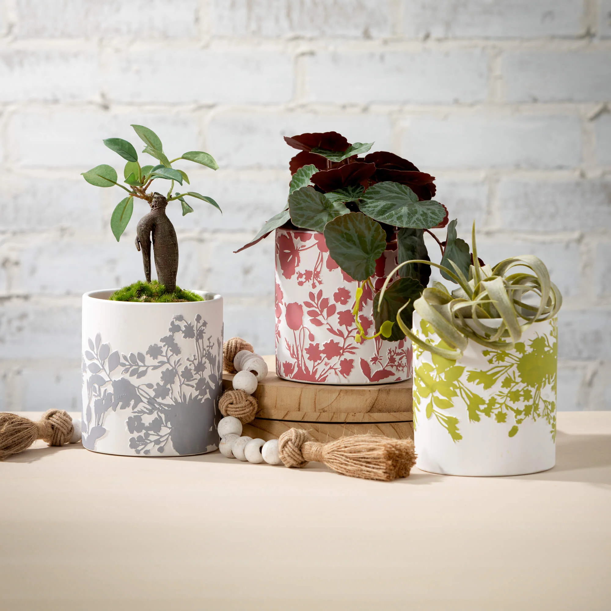 Exclusive Textured Flower Print Planters Verified