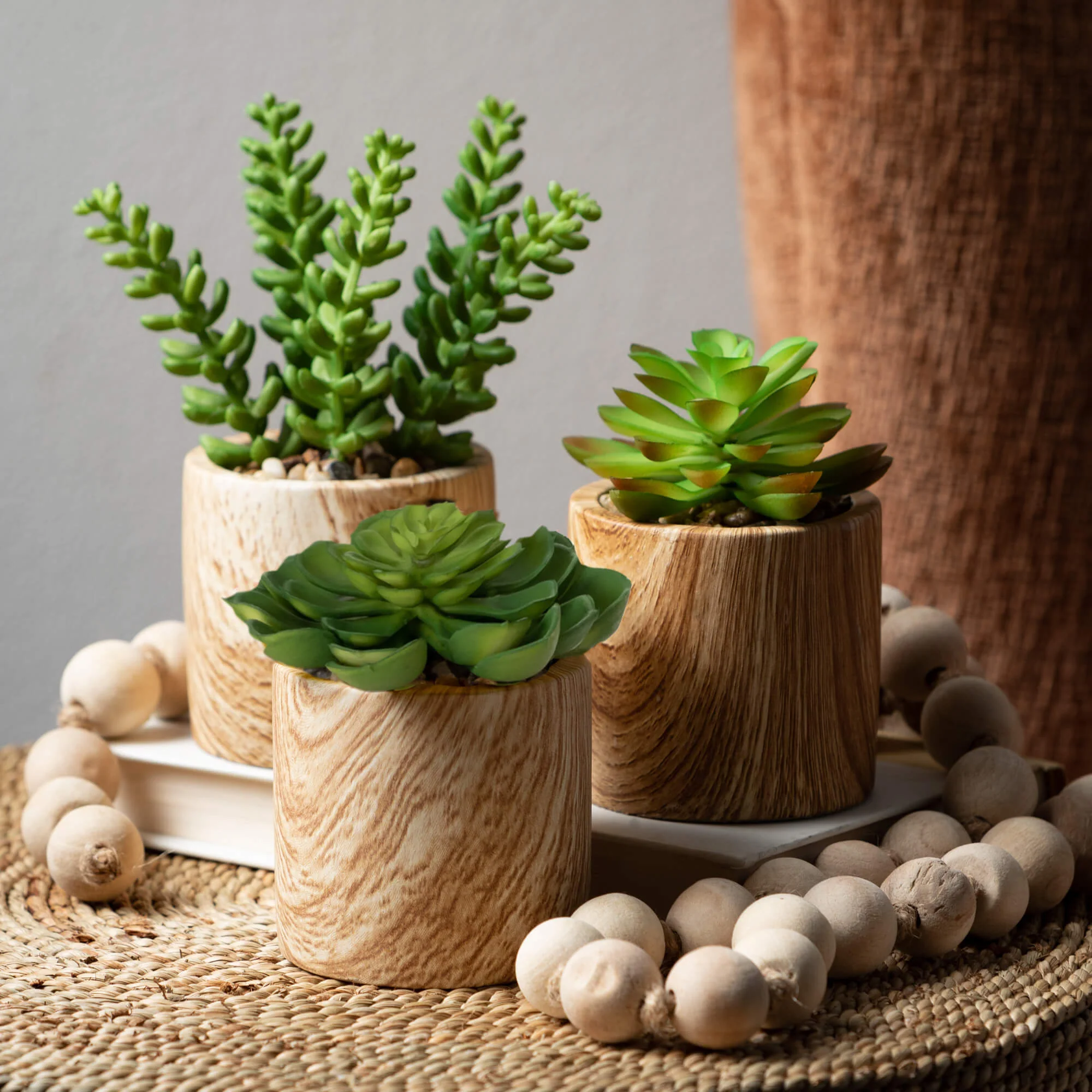 Selected Wooden Potted Succulents Enhanced