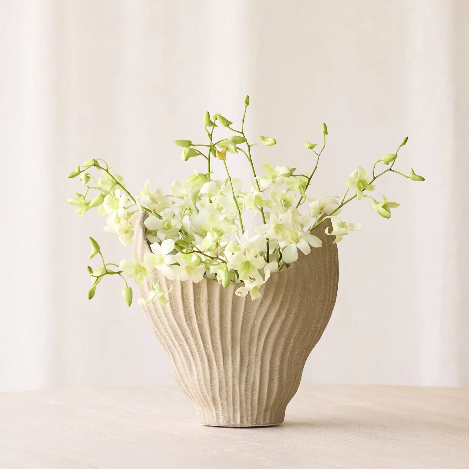 Pure Moraba Vase Light Brown Minimalist