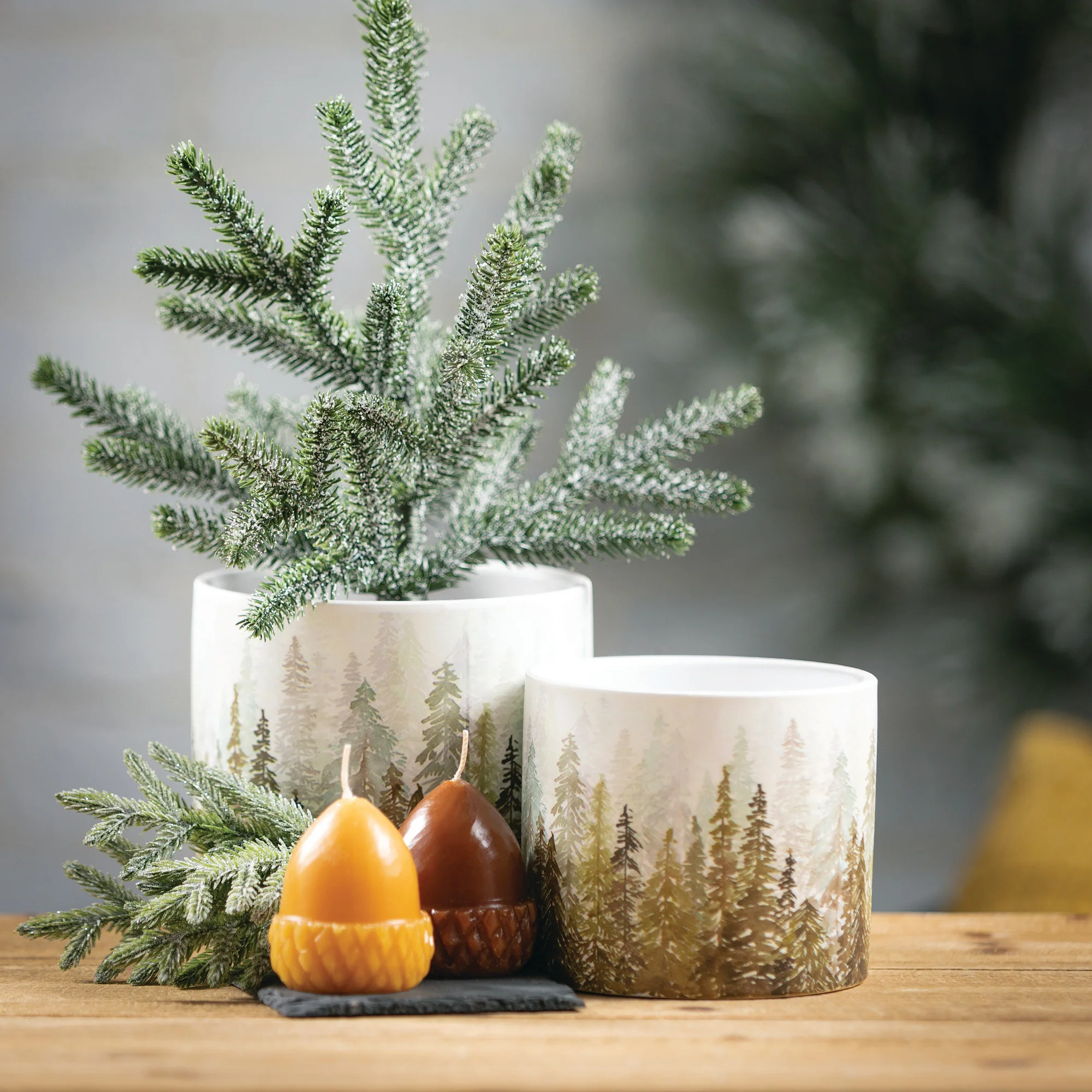 Responsible Tree Design Ceramic Pots Organic