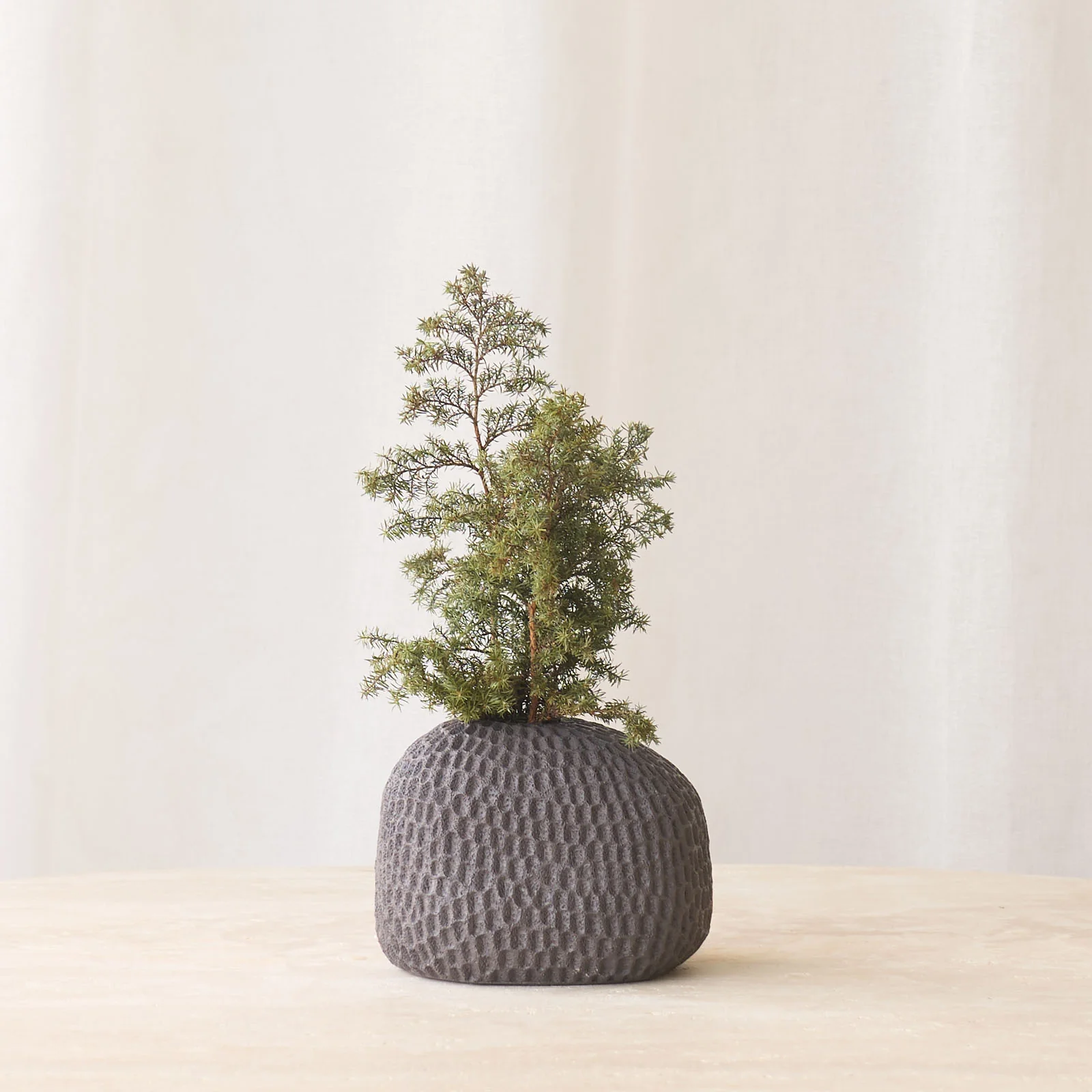 Reliable Zarho Vase Brown Optimized