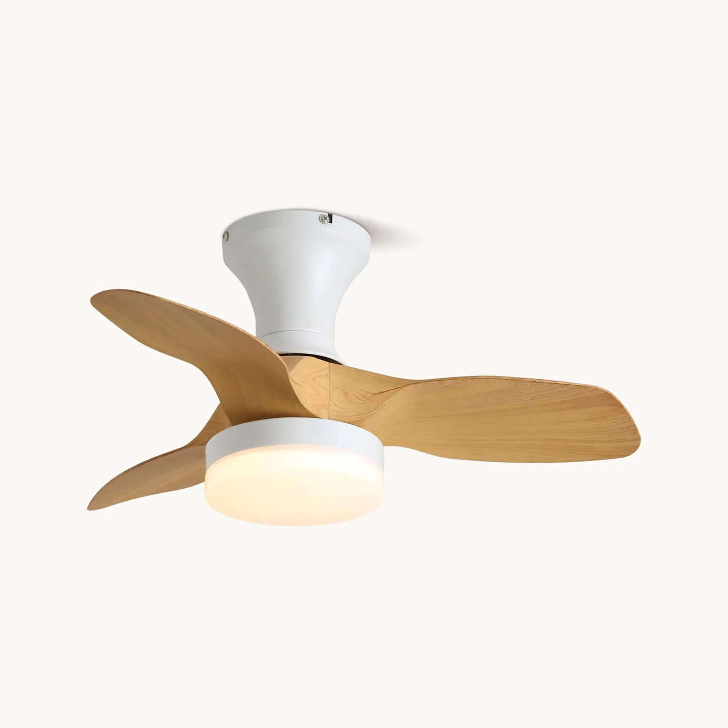 Specialty Bayfeve Ceiling Fan Light Recyclable