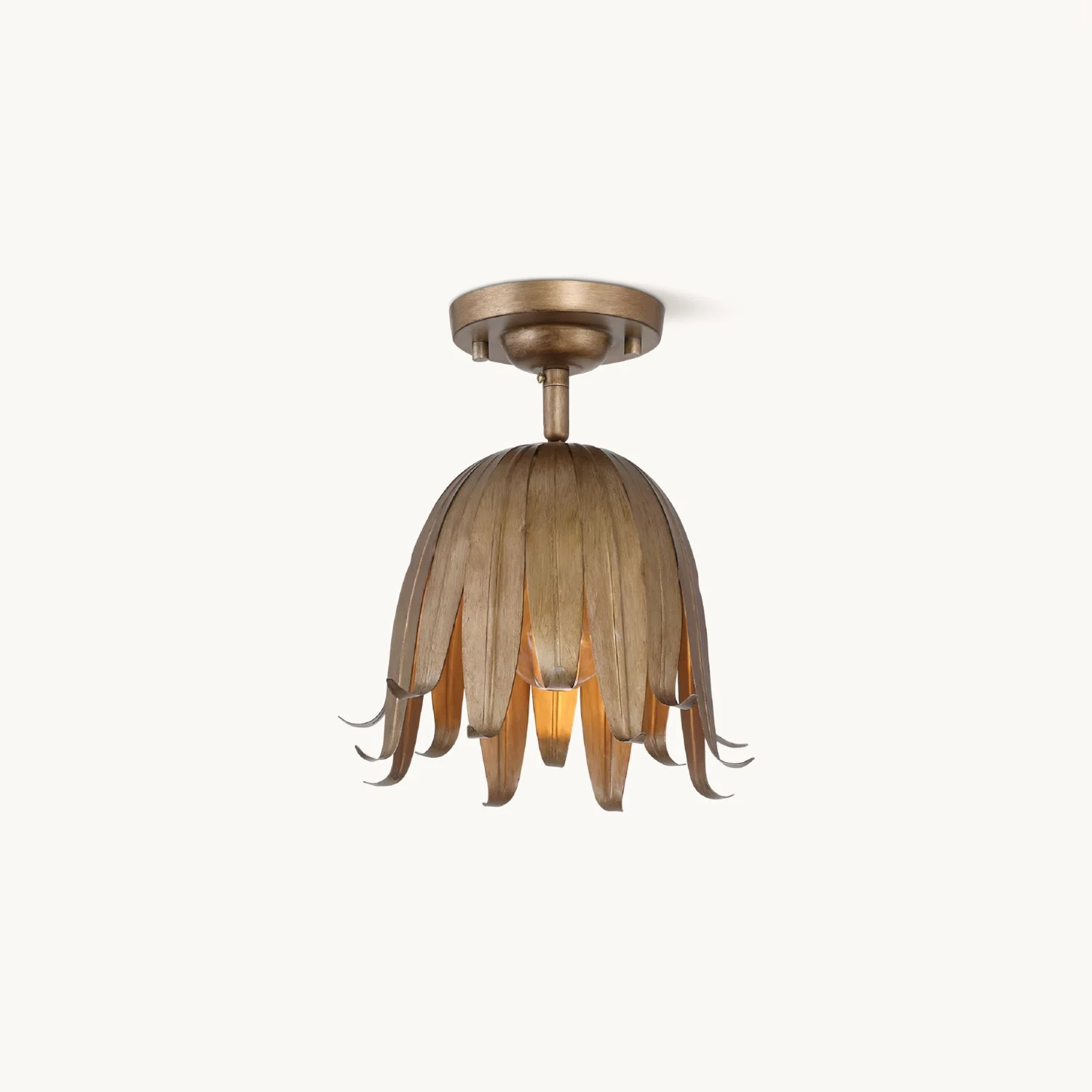 Secure Ozette Ceiling Light Enhanced