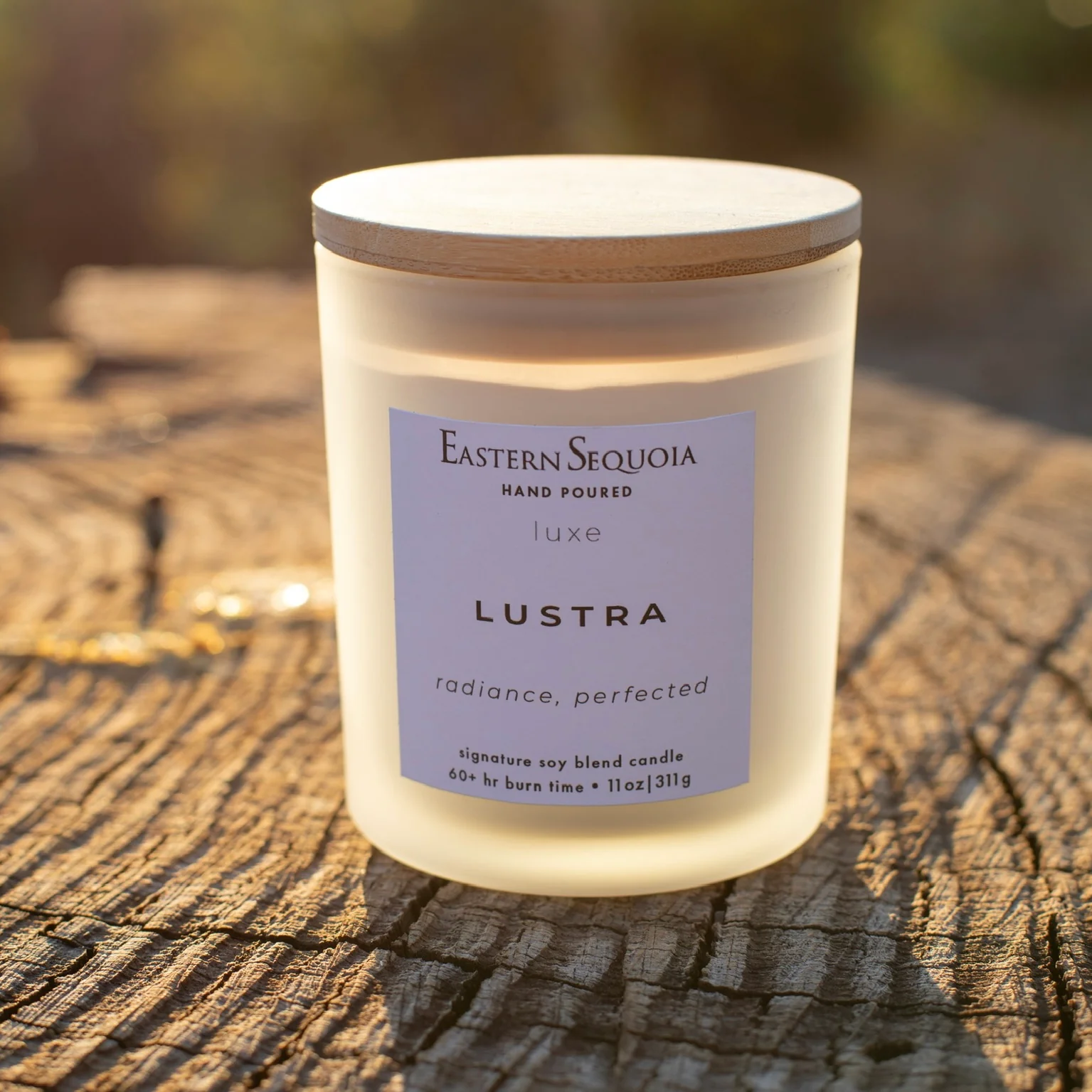 Modern Lustra Candle 11 oz Long-Lasting