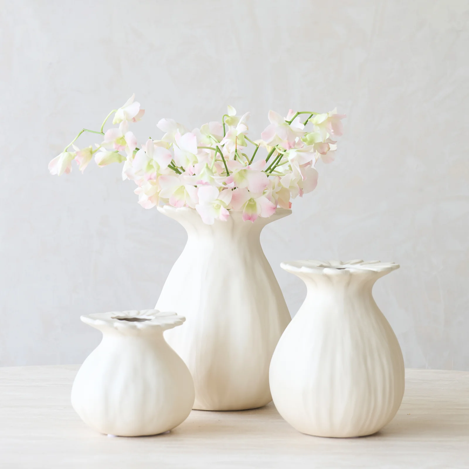 Trusted Rewa Vase Cream Efficient